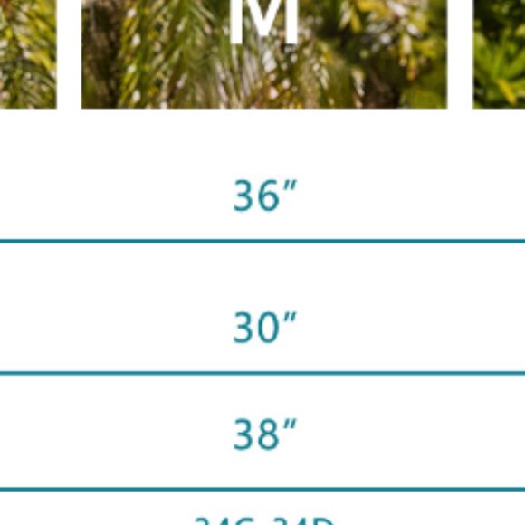 Two-piece string bikini - Picture 5 of 5